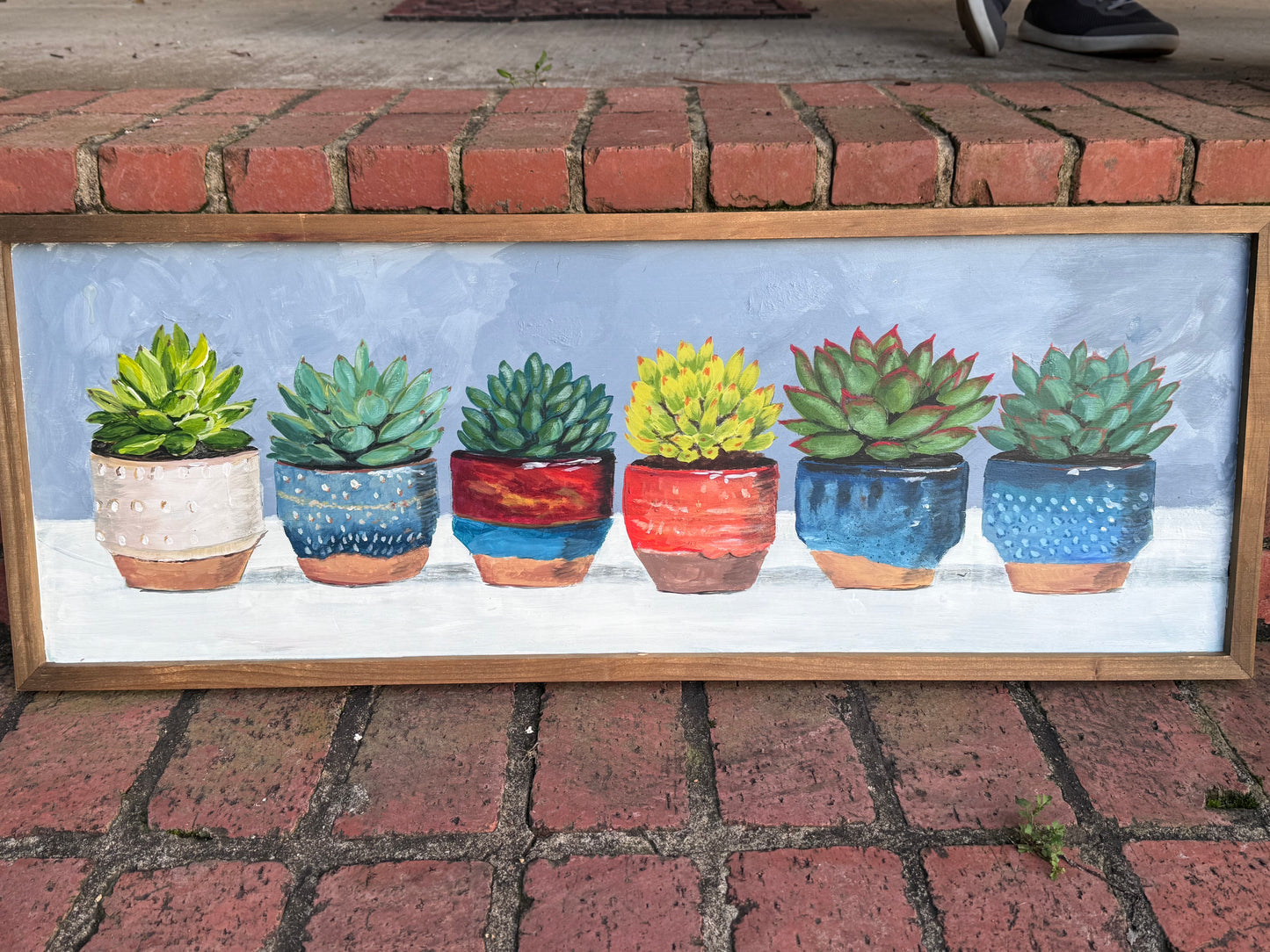 Row of Succulents
